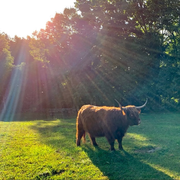 Meet your Posher, Anya - Picture 11 of 13